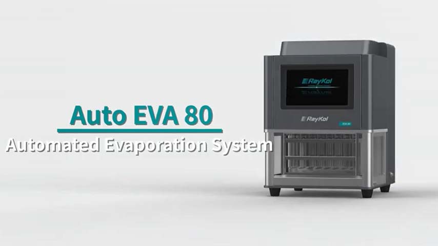 RayKol 자동 EVA 80 자동 질소 증발 시스템